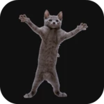 dancing cat android application logo